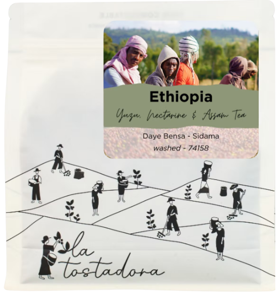 Ethiopia - 'Malawo' Daye Bensa / Washed Grade 1