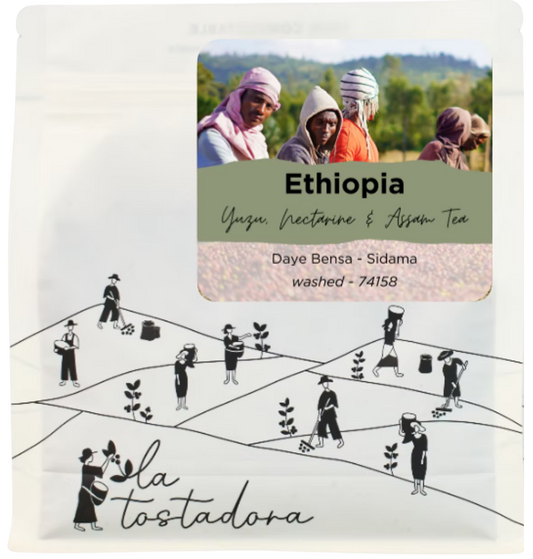 Ethiopia - 'Malawo' Daye Bensa / Washed Grade 1