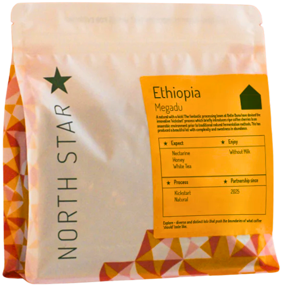 Ethiopia Megadu 'Kickstart' Natural