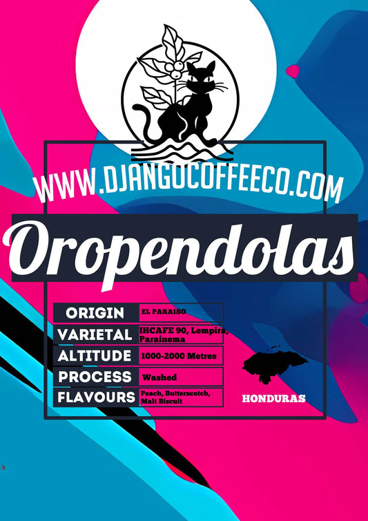 Honduras Oropendolas